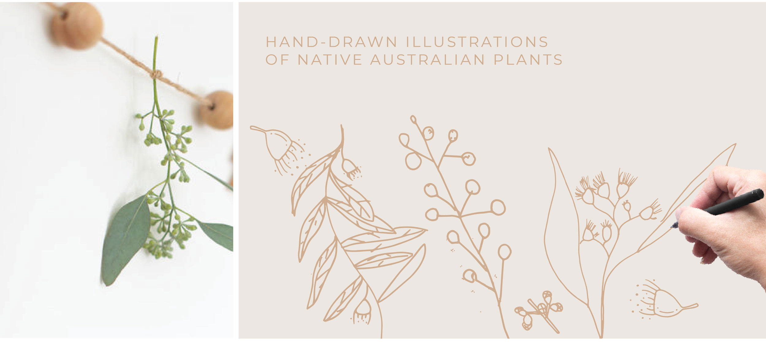 Verve Design Web Portfolio Bare + Boho